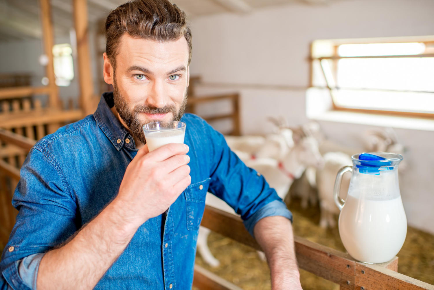 goat milk health benefits